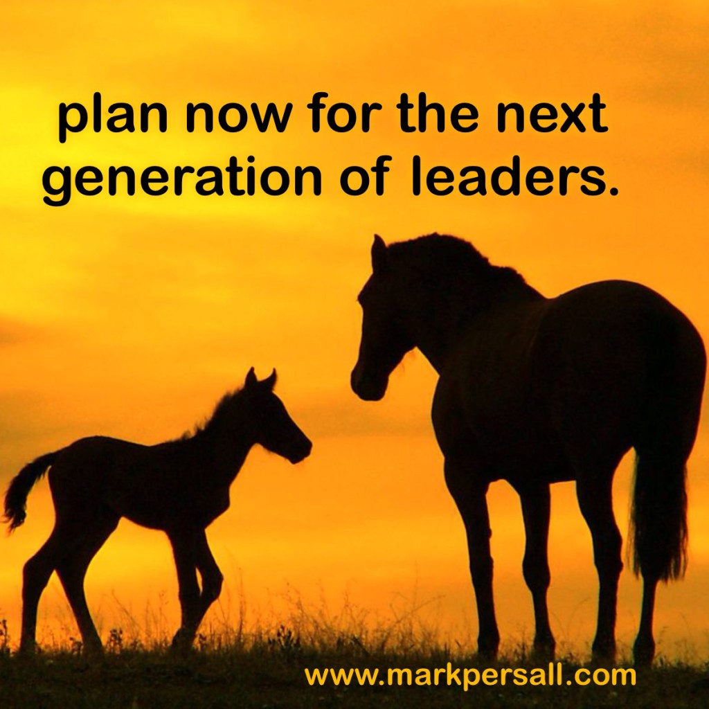 horse leadership